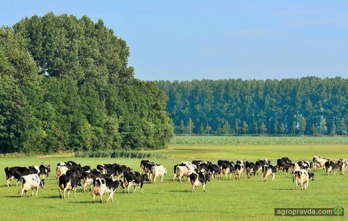В Украине появился новый аграрный праздник