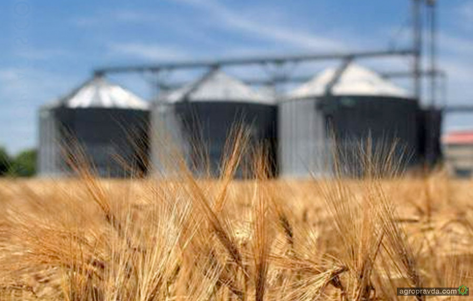В Україні спростили процедуру фумігації зерна