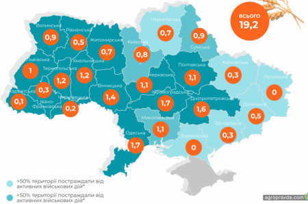 Скільки в Україні зберуть озимих