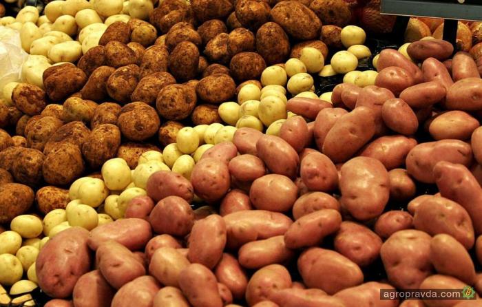 Украина вошла в пятерку мировых производителей картофеля