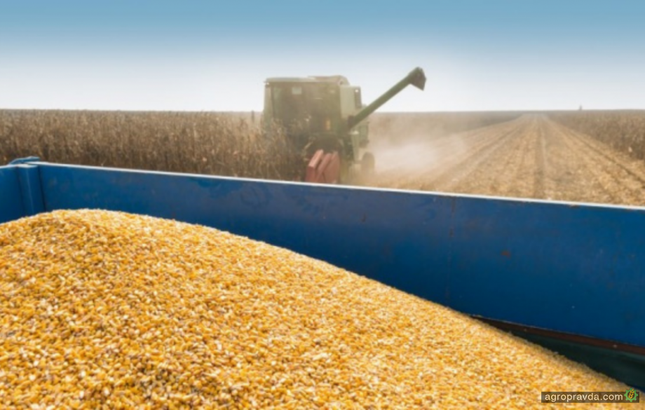 ЄС виділяє 1 млрд євро на експорт українських зернових