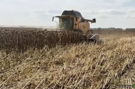 Ідеальний дует для збору соняшнику: New Holland CX8.80 + жниварка Maizco GXIII