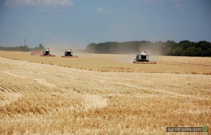 В Украине продолжает расти сельхозпроизводство