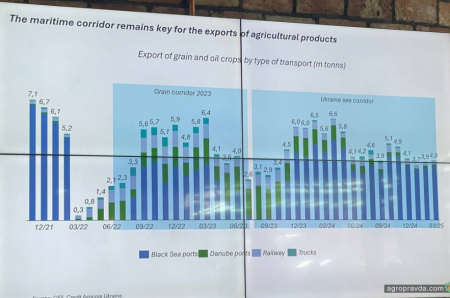 Як дія морського коридору впливає на обсяги екпорту сільхозпродукції