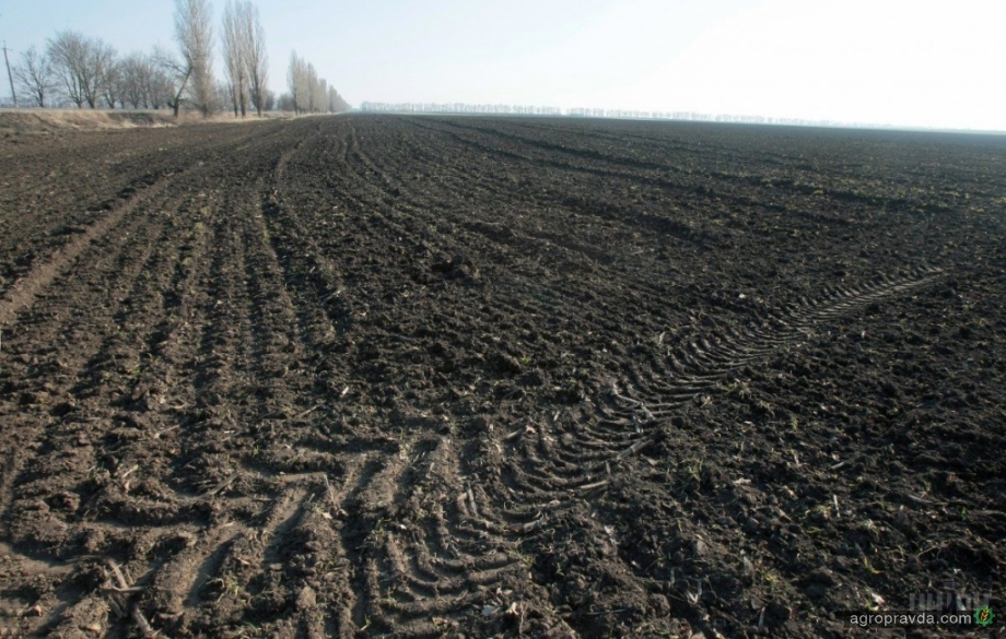 В Украине планируют повысить налог на землю
