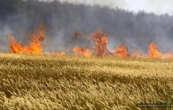 Диверсанты поджигают поля в центральной Украине