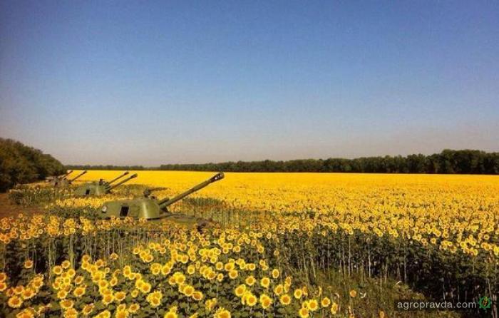 Как спасти остатки урожая в Донецкой области