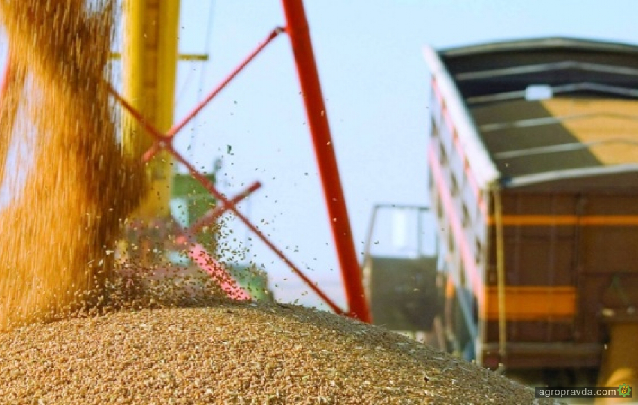 Коли почнеться вивезення зерна з портів України