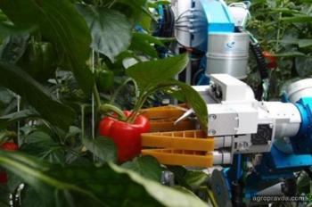 Объем рынка сельскохозяйственных роботов достигнет $74,1 млрд