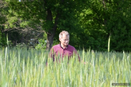 Опыт хозяйства: как показывает себя озимая пшеница по ноу-тилл