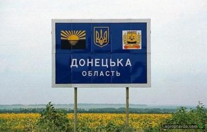 Донецкая область ожидает высокие показатели всхода озимых
