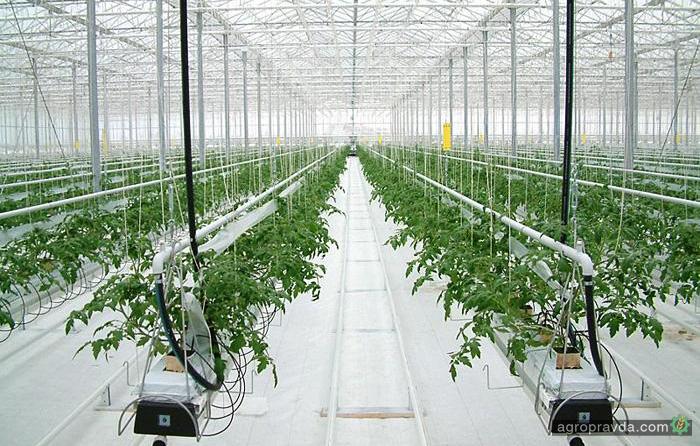 Рынок высокотехнологичного сельского хозяйства достигнет $43,4 млрд