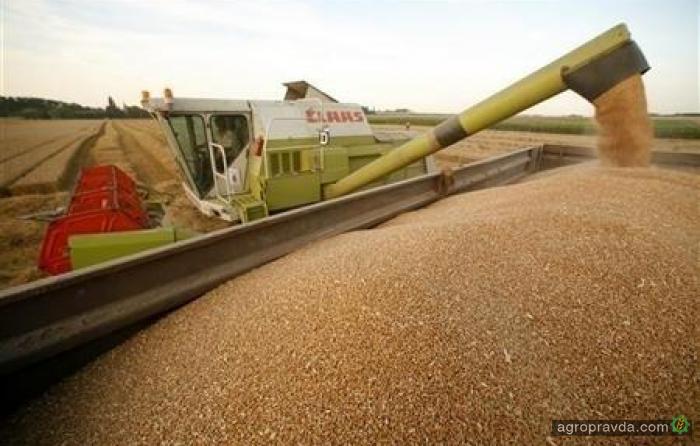 Повышен прогноз урожая зерновых в Украине