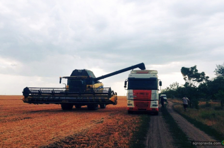 Жнива на Півдні — в самому розпалі. Як працюють комбайни New Holland