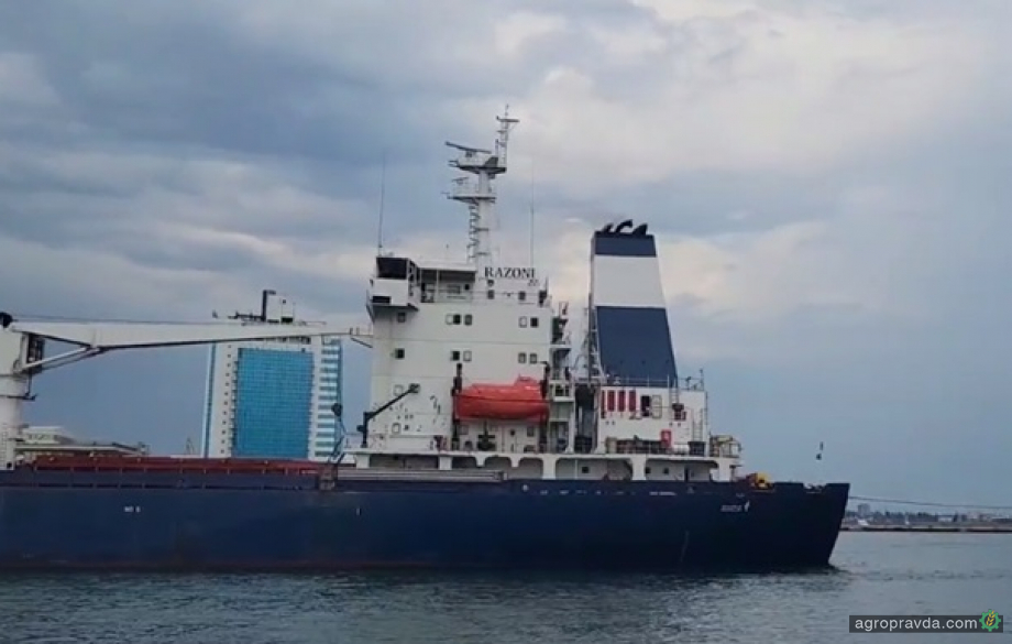 Перше судно з українським зерном досягло Босфору
