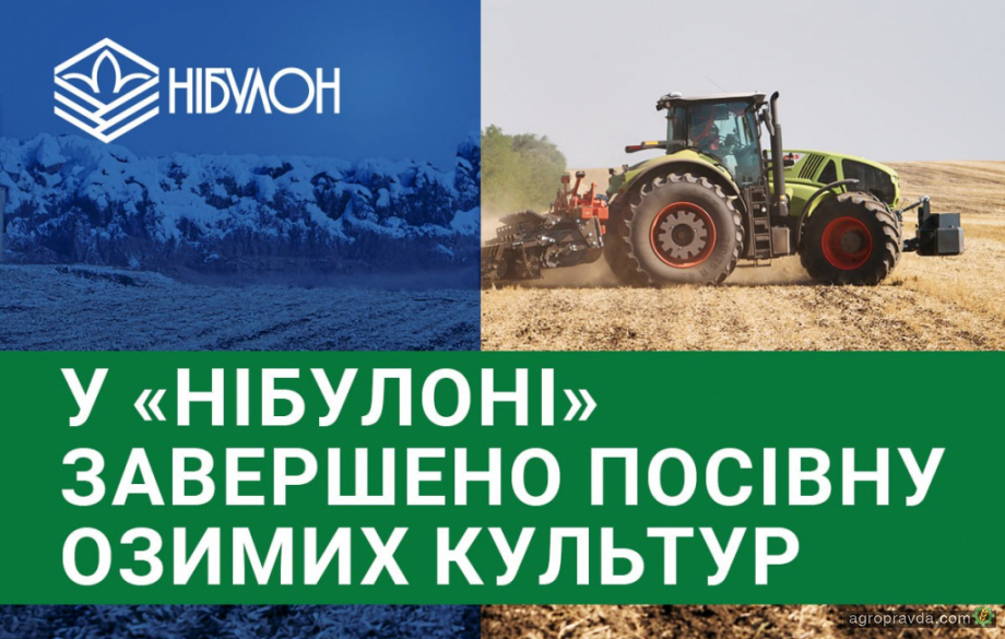 В Нібулон відзвітували про посівну озимих культур. Що і скільки посадили