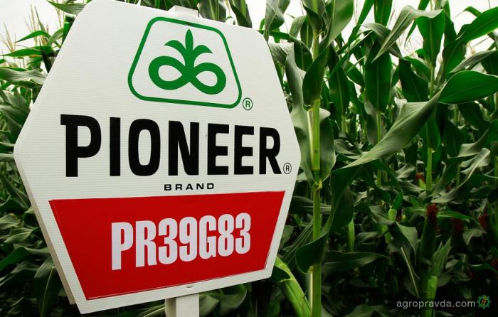 В DuPont Pioneer рассказали как выводят новые сорта гибридов