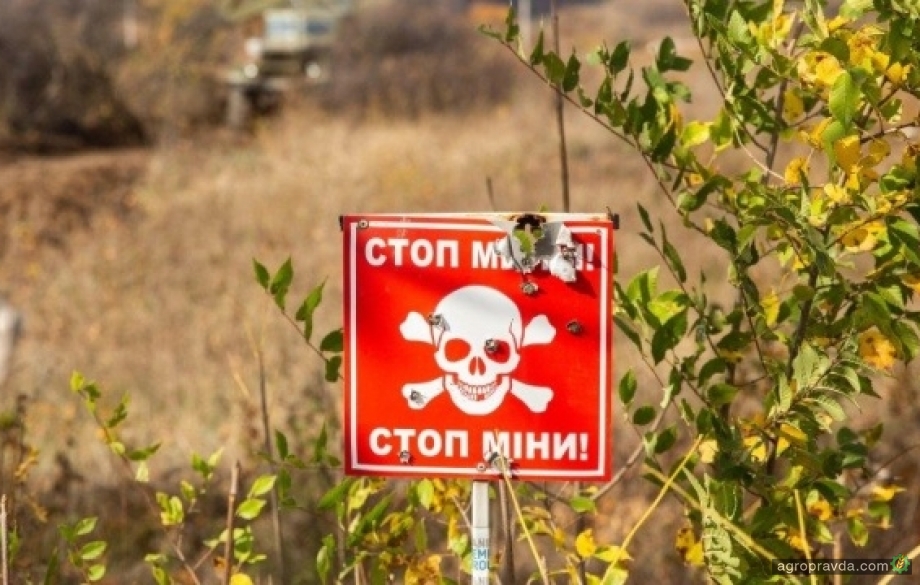 Третина українських полів непридатна для посіву через війну