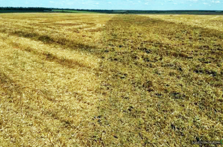 Як працює Claydon Hybrid T4 + Straw Harrow 7,5 на посівній