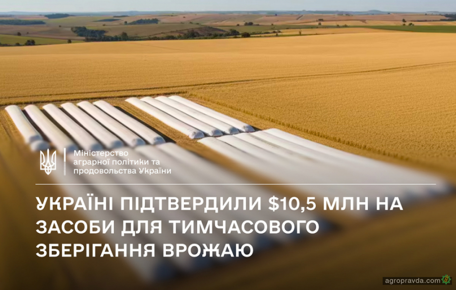 Міжнародні партнери профінансують тимчасове зберігання врожаю