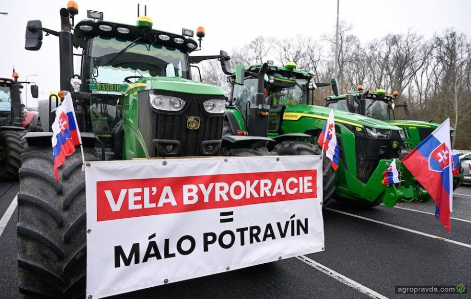 Чеські та словацькі фермери протестували проти дешевого імпортуз України Чеські та словацькі фермери протестували проти дешевого імпортуз України
