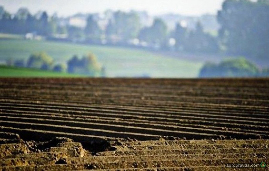ООН поможет фермерам остановить деградацию земель в Украине