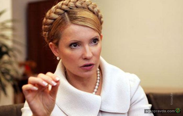 Тимошенко презентовала свою программу развития АПК