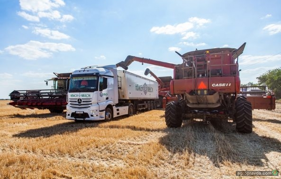 «Нібулон» закінчив збирання ранніх зернових із новим рекордом врожайності