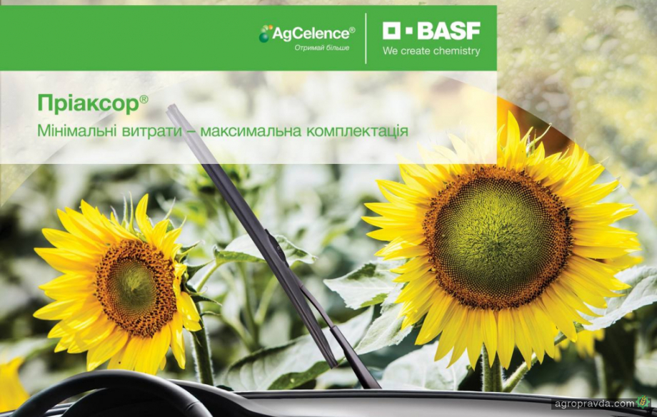 В Україні з'явився новий фунгіцид для соняшника