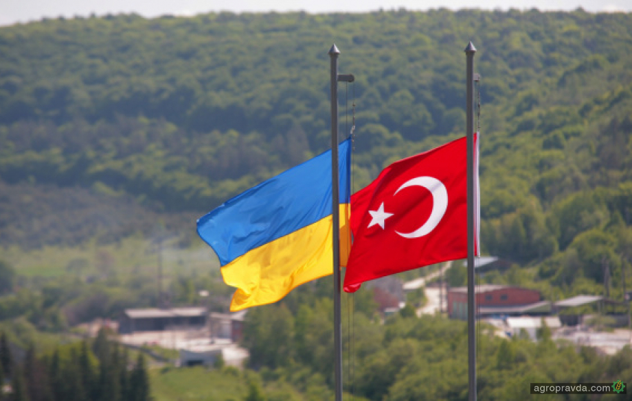 Україна та Туреччина готові ратифікувати Угоду про вільну торгівлю