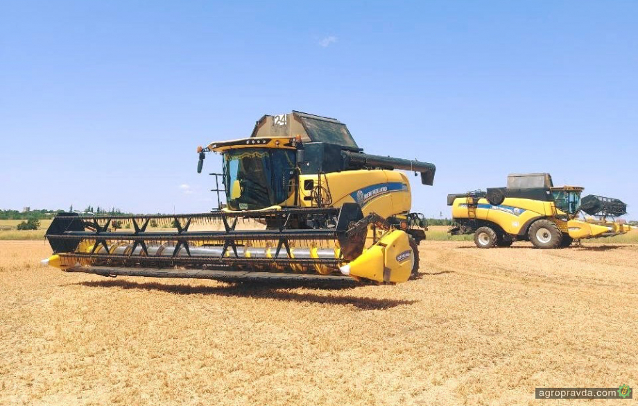 Жнива на Півдні — в самому розпалі. Як працюють комбайни New Holland