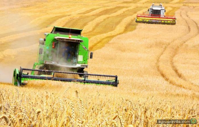 В Украине зерновые и зернобобовые обмолочены на 73% от прогноза