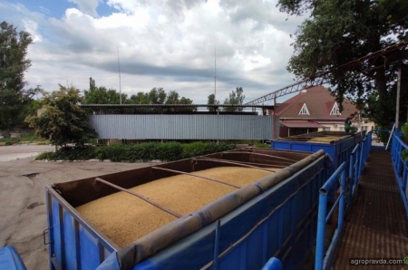 Зерновые терминалы начинают приемку зерна нового урожая