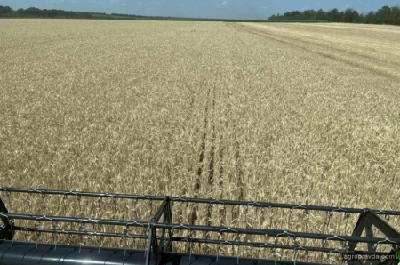 В Україні продовжують демонстрації комбайнів New Holland роторної серії CR