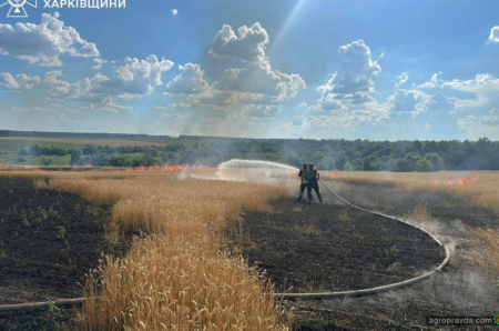 Росіяни навмисно намагаються підпалити поля з пшеницею