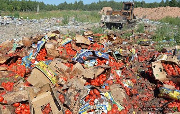 В РФ отчитались сколько продуктов раздавили тракторами