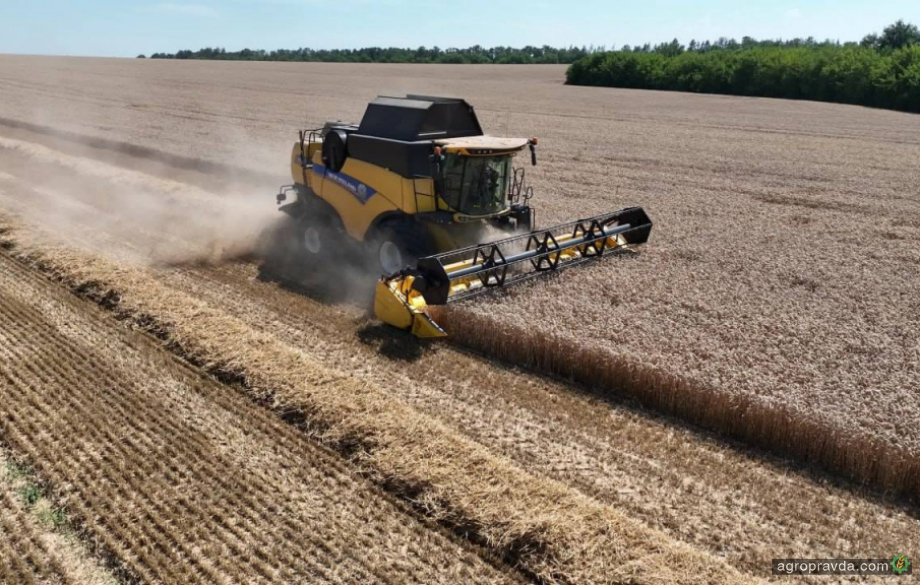 Яку урожайність отримали на полях МХП у цьому році