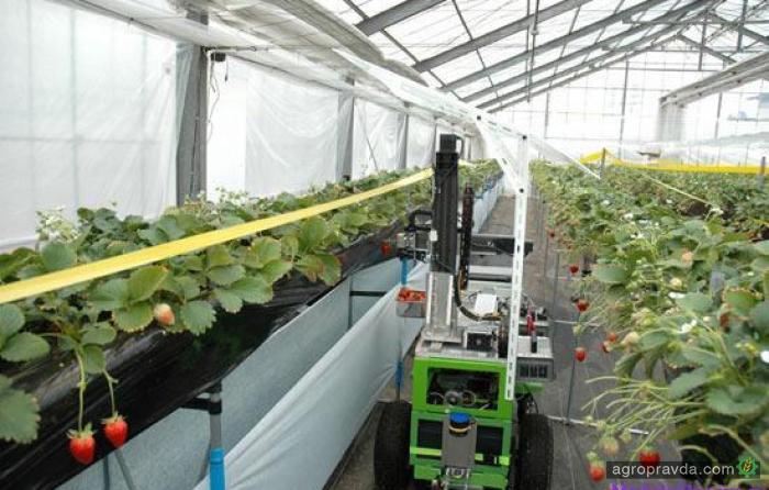 Япония внедрит роботов в сельское хозяйство
