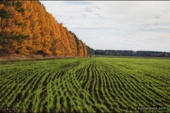 В Украине растет спрос на аграрные расписки 