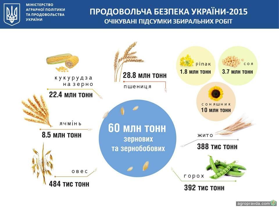 Урожайность кукурузы составляет 4 тонны. Карта урожайности пшеницы на Украине. Falua урожай 2015.