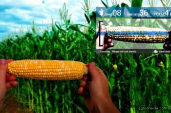 Чем цифровое земледелие способствует аграрной революции
