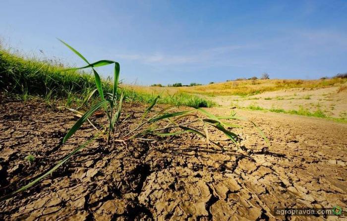 Украина теряет 20 млрд. грн. ежегодно из-за деградации почв 