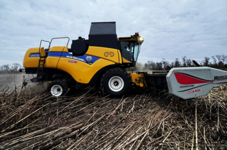 Врожай без втрат: рішення від NEW HOLLAND CH7.70 + MAIZCO GRAND FLOW