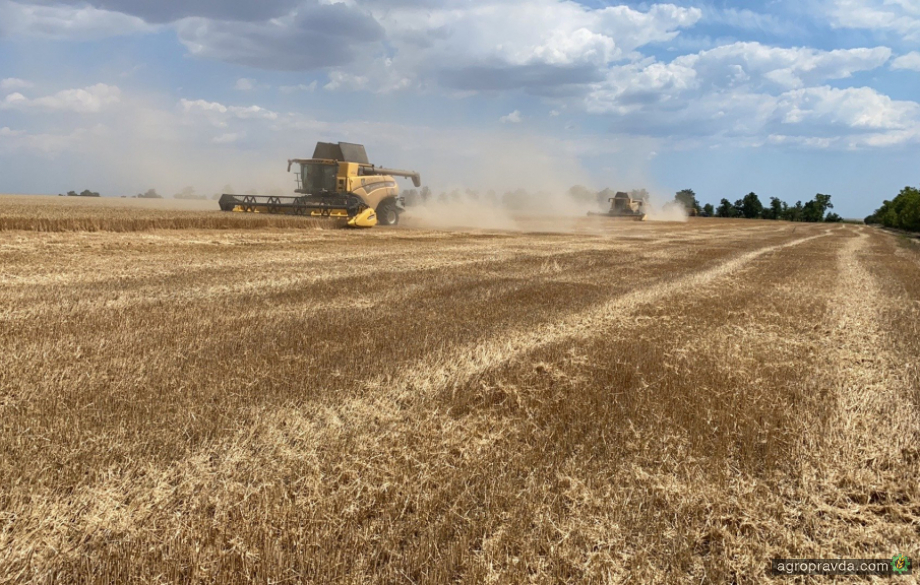 У Житомирській області обмолочено 20% ранніх зернових