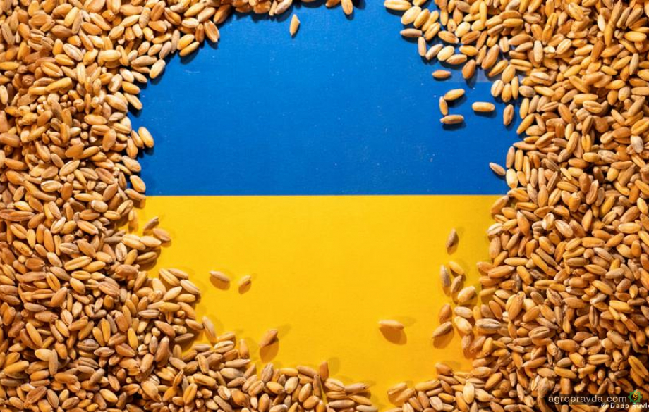 Що не так із системою контролю експорту українського зерна