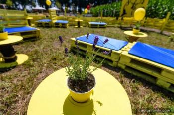 В Киеве открылся агропарк развлечений «Кукулабия»