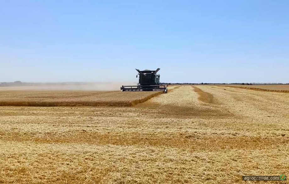 В Чернігівській області намолочено понад 200 тис. тонн зерна