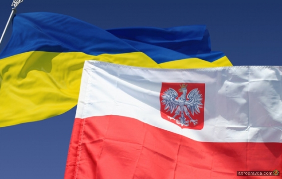У Польщі хочуть допомогти Україні відбудувати торговельний флот