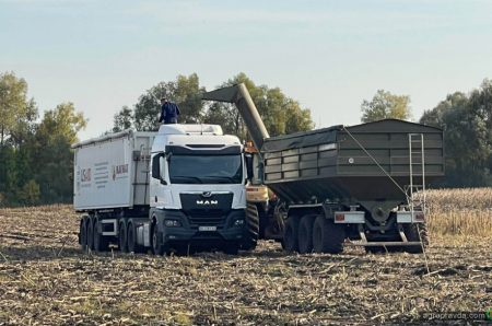 Один день жнив соняшника на полі у Чернігівщині