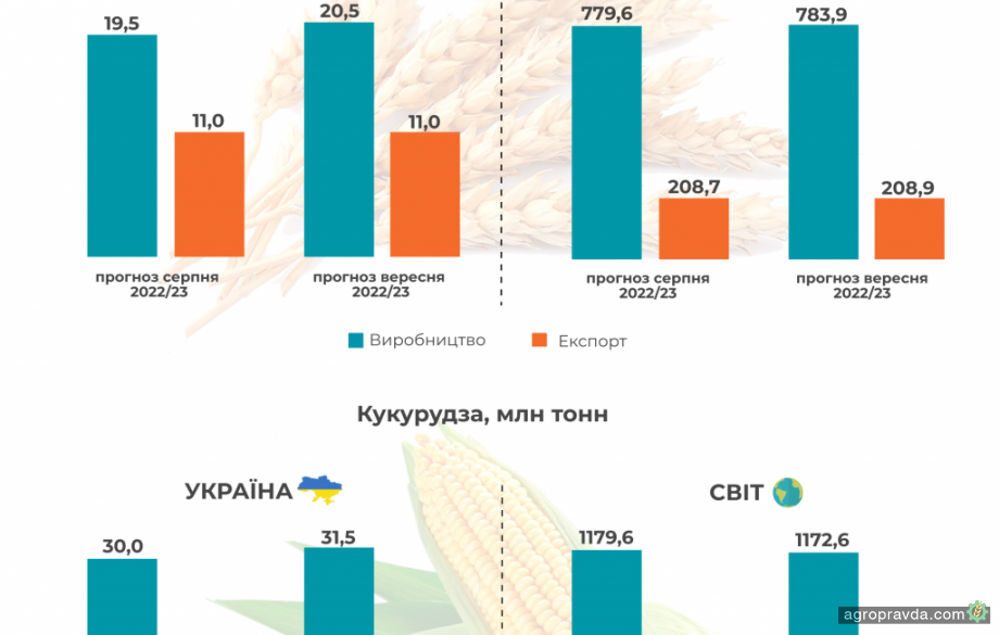 Прогноз виробництва пшениці та кукурудзи в Україні збільшено